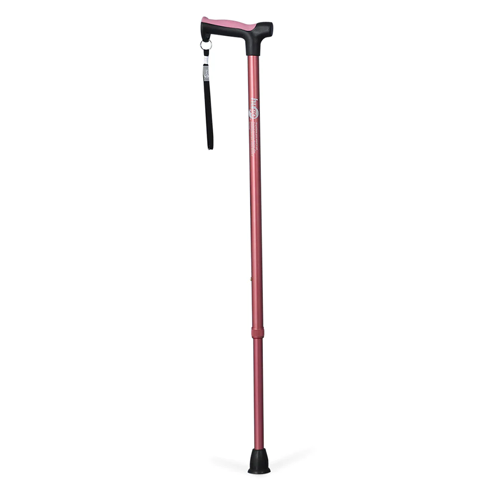Hugo Derby Cane